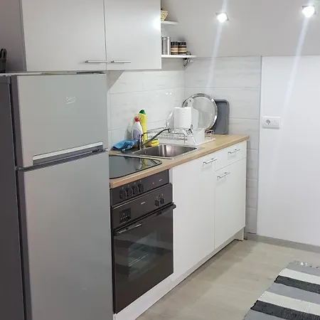 Kriva Drina Apartment Okletac